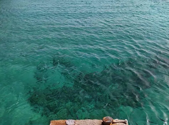 דירה Alcalde Marcial Sanchez Velazquez 15 *